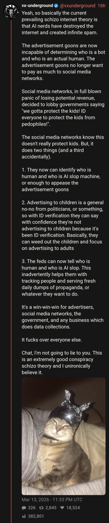 Cat on a tinfoil hat in a Tweet